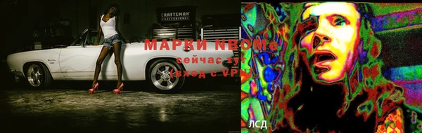 крисы Белокуриха
