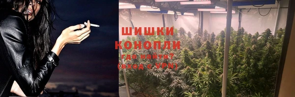 крисы Белокуриха