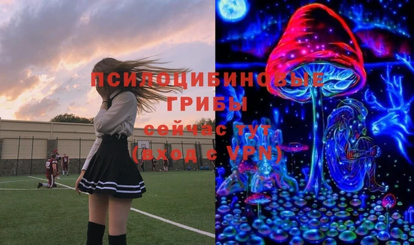 молекула духа Белоозёрский