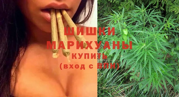 крисы Белокуриха