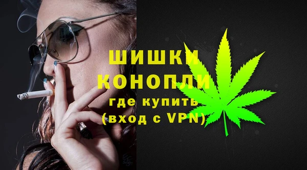 крисы Белокуриха