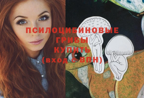 таблы Богородск