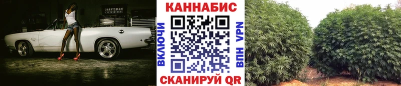купить закладку Борисоглебск МАРИХУАНА конопля